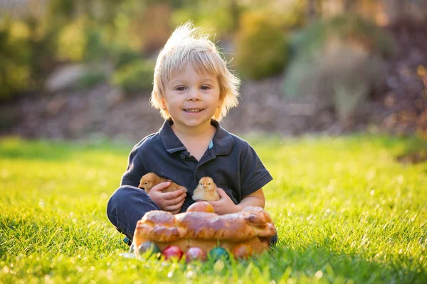 Menino Bonito Comendo Pão Doce Ovos Jardim Pôr Sol Filhotes — Fotografia de Stock