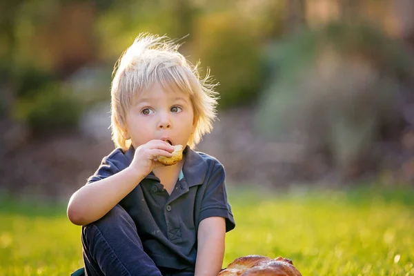 Menino Bonito Comendo Pão Doce Ovos Jardim Pôr Sol Filhotes — Fotografia de Stock