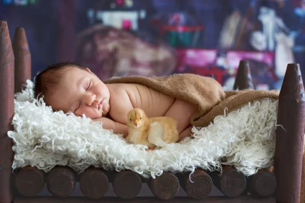 Kleine Pasgeboren Baby Jongen Slapen Houten Babybedje Met Kleine Kuiken — Stockfoto