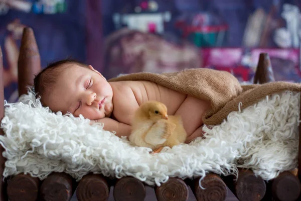 Kleine Pasgeboren Baby Jongen Slapen Houten Babybedje Met Kleine Kuiken — Stockfoto