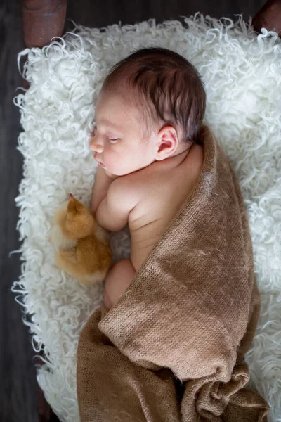 小さな新生児の男の子 小さな雛と木製のベビーベッドで寝て 甘い動物の友人 — ストック写真