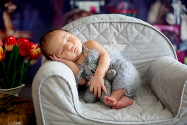 小新生男婴 睡在小舒适的婴儿扶手椅上 带着小毛绒玩具 舒服地睡着了 — 图库照片