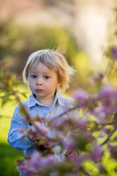 Pequeño Niño Comiendo Conejito Chocolate Jardín Atardecer Huevos Pascua Alrededor —  Fotos de Stock