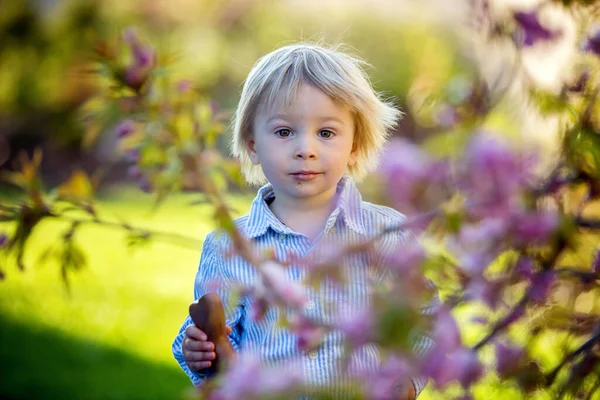 Kleiner Junge Isst Schokohase Garten Bei Sonnenuntergang Ostereier Ihn Herum — Stockfoto