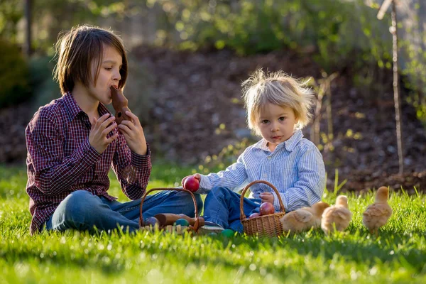 Cute Children Eating Chocolate Bunnies Fighting Easter Eggs Egg Hunting — Stock Photo, Image