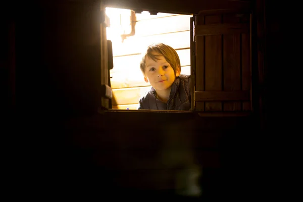 Les Enfants Assis Dans Maison Des Petits Enfants Sur Arbre — Photo