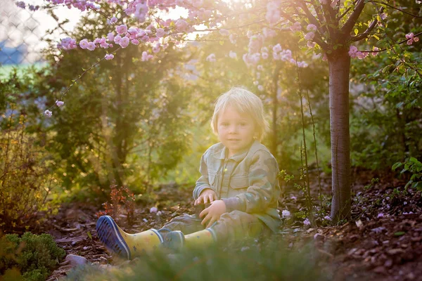 ブロンドの小さな幼児の子供双眼鏡 日没の庭に座って — ストック写真