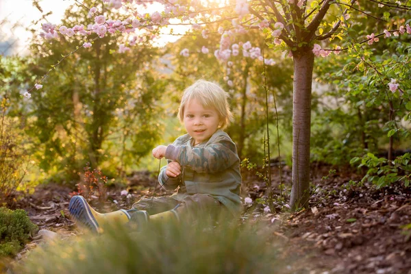 Rubia Niño Pequeño Con Prismáticos Sentado Jardín Atardecer Jugando —  Fotos de Stock