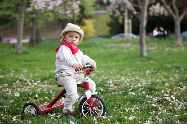 Kind Jongen Het Voorjaarspark Met Bloeiende Magnolia Bomen Bij Zonsondergang — Stockfoto