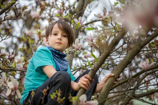 Παιδί Αγόρι Στο Ανοιξιάτικο Πάρκο Ανθισμένα Δέντρα Μανόλια Στο Ηλιοβασίλεμα — Φωτογραφία Αρχείου