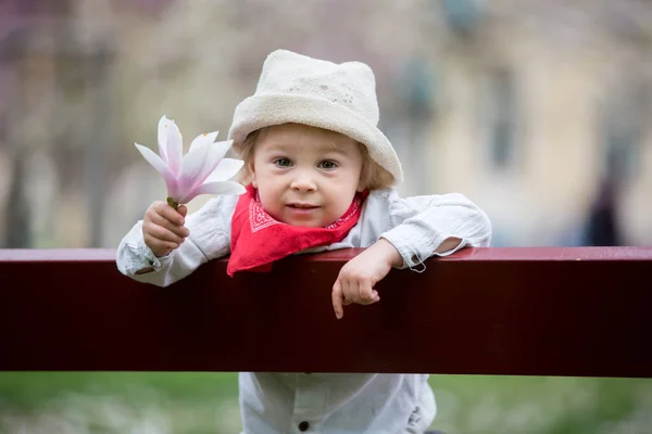 Дитина Хлопчик Весняному Парку Квітучими Магнолійськими Деревами Заході Сонця — стокове фото