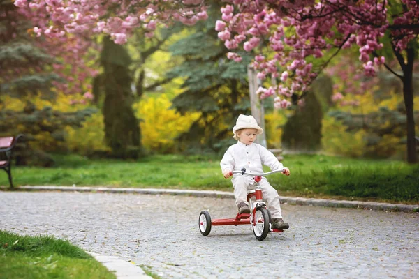 子供春の公園の少年は日没にマグノリアの木を咲かせ — ストック写真