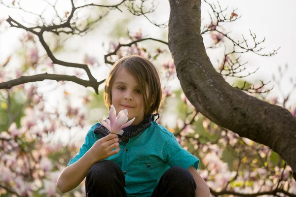 Kind Jongen Het Voorjaarspark Met Bloeiende Magnolia Bomen Bij Zonsondergang — Stockfoto