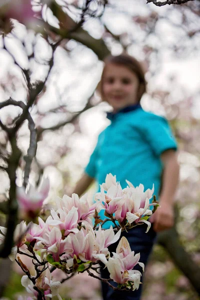 Bambino Ragazzo Nel Parco Primaverile Con Alberi Magnolia Fiore Tramonto — Foto Stock