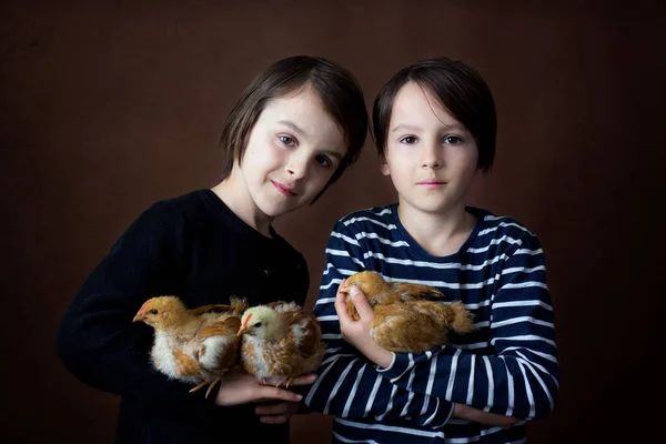 Young Preteen Boy Chickens Studio Isolated Brown Background — Stock Photo, Image