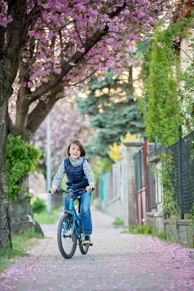 Kinderen Spelen Straat Met Bloeiende Roze Kersenbomen Bij Zonsondergang Fietsen — Stockfoto