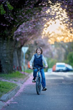 Çocuklar, gün batımında çiçek açan kiraz ağaçlarıyla sokakta oynuyorlar, bisiklet sürüyorlar.