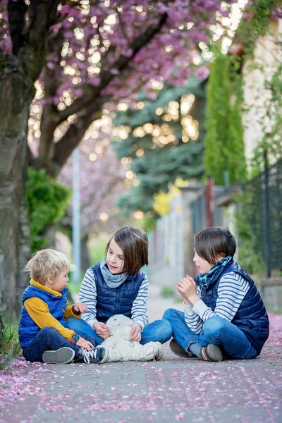Děti Hrající Ulici Kvetoucími Růžovými Třešněmi Při Západu Slunce Kolech — Stock fotografie