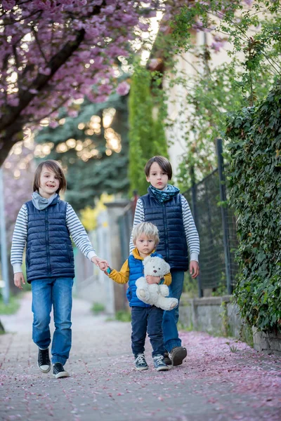 Діти Граючи Вулиці Квітучими Рожевими Вишневими Деревами Заході Сонця Їздять — стокове фото