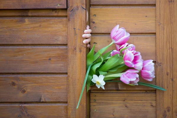 Bambino Ragazzo Che Tiene Tulipani Rosa Nasconde Dietro Loro Concetto — Foto Stock