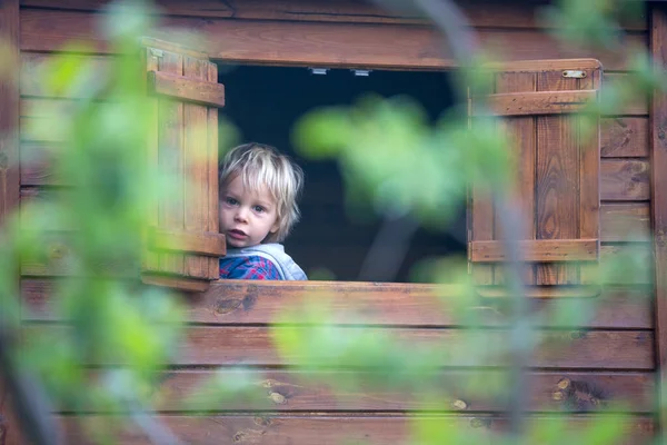 Маленький Хлопчик Стоїть Вікні Грає Динозаврами Маленькому Дерев Яному Будинку — стокове фото