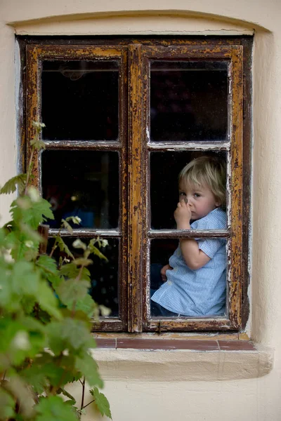Маленький Ребенок Мальчик Голубой Рубашке Держит Цветок Ромашки Сидит Старым — стоковое фото