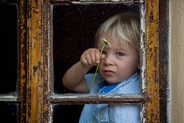 Petit Enfant Bas Âge Garçon Avec Chemise Bleue Tenant Une — Photo