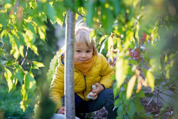 Małe Dziecko Chłopiec Żółtej Kurtce Stojący Chowający Się Drzewem Zachodzie — Zdjęcie stockowe