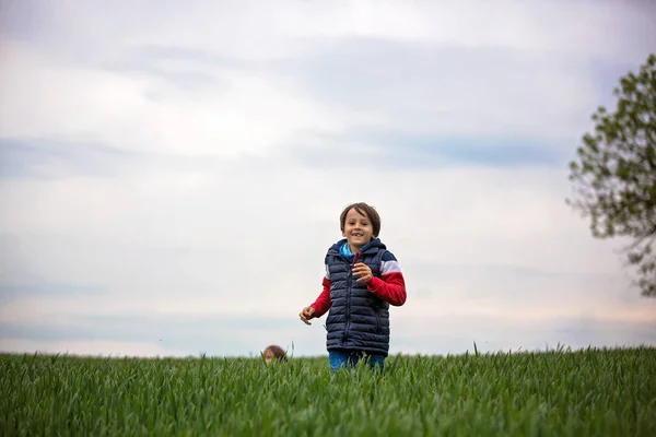 Pretenn Children Boys Running Green Field Cloudy Day Childhood Happiness — Stock Photo, Image