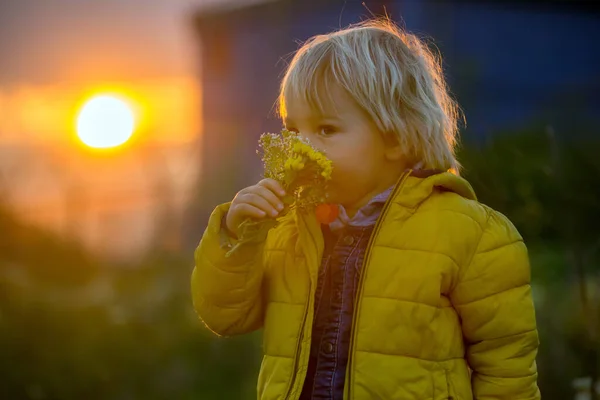 Petit Enfant Garçon Tenant Pavot Sur Une Photo Coucher Soleil — Photo