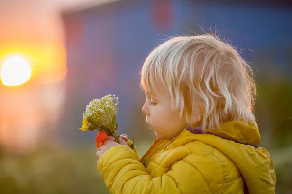 Little Child Boy Holding Poppy Sunset Picture Taken Glass Ball — Stock Photo, Image