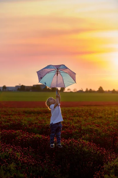 Şemsiyeyle Uçan Güzel Bir Çocuk Muhteşem Kırmızı Yonca Tarlasında Gün — Stok fotoğraf