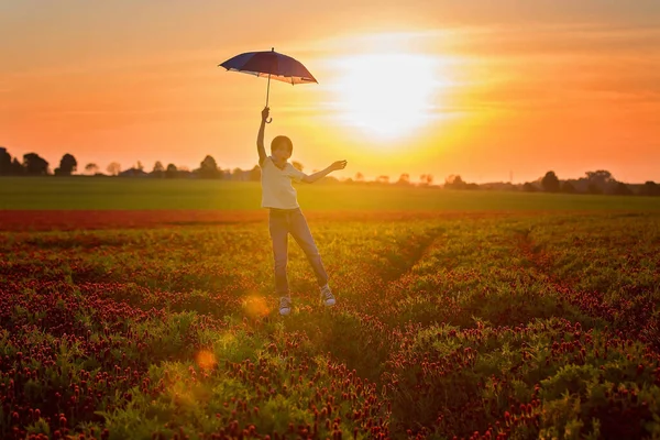 Prachtig Kind Vliegend Met Paraplu Prachtig Karmozijnrode Klaverveld Bij Zonsondergang — Stockfoto