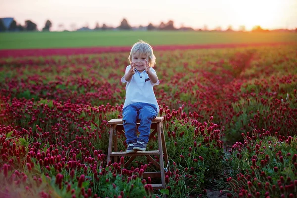 Beautiful Children Brothers Gorgeous Crimson Clover Field Sunset Springtime — Stock Photo, Image