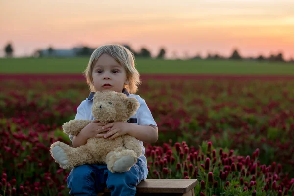 Beautiful Children Brothers Gorgeous Crimson Clover Field Sunset Spring Time — стоковое фото