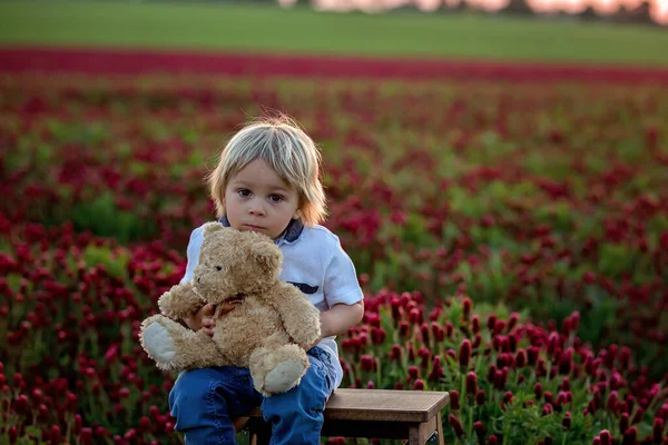 Beautiful Children Brothers Gorgeous Crimson Clover Field Sunset Spring Time — стоковое фото