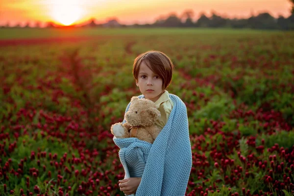 美しい子供たち 日没の豪華な真紅のクローバー畑の兄弟 — ストック写真