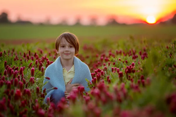 Beautiful Children Brothers Gorgeous Crimson Clover Field Sunset Spring Time — стоковое фото