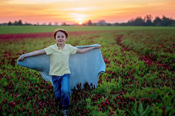 美丽的孩子们 在美丽的深红色的三叶草地里 在夕阳西下 在春天 — 图库照片