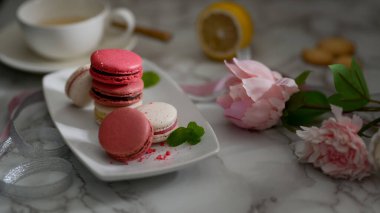 Beyaz seramik tabakta rengarenk pastel makarnalardan kesilmiş çay fincanı ve mermer masa üzerine süslenmiş çiçek. 