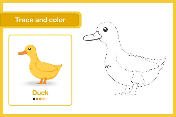Hoja Trabajo Dibujo Para Niños Edad Preescolar Trazo Color Pato — Vector de stock