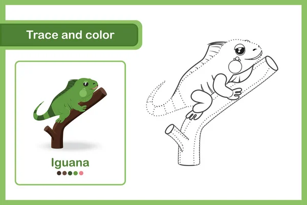 Hoja Trabajo Dibujo Para Niños Edad Preescolar Trazo Color Iguana — Vector de stock