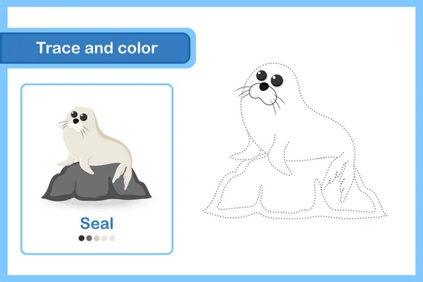Feuille Dessin Pour Enfants Âge Préscolaire Trace Couleur Seal — Image vectorielle
