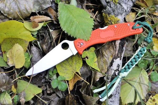 Folding knife stainless steel blade forest autumn leaves beautiful colors