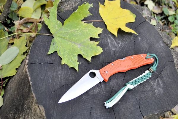Folding knife stainless steel blade autumn leaves garden nature
