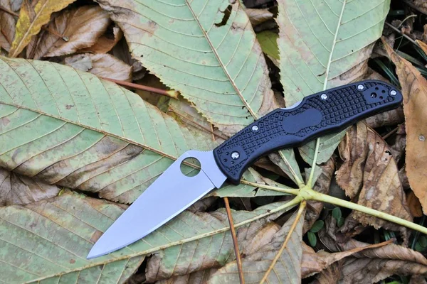 Folding knife stainless steel blade black handle garden autumn beautiful nature