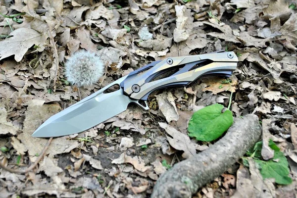 Folding Knife Stainless Steel Blade Blue Handle White Color Flower — 스톡 사진