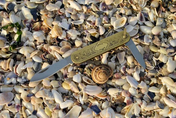 Sea beach shells sand folding knife stainless blade yellow brass handle travel vacation background