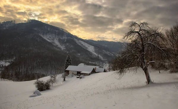 Paesaggio Invernale Con Solitario Casa Legno — Foto Stock