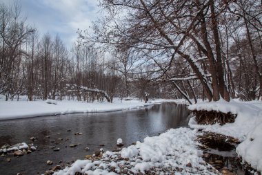 Kar yığınları, karlı çalılar ve ağaçlar arasında akan kış nehri..